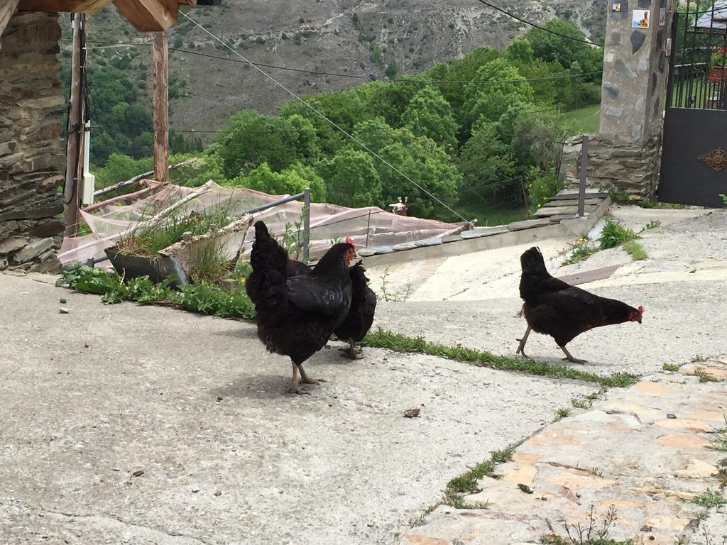 Lo Paller De Roc Montescladó 外观 照片